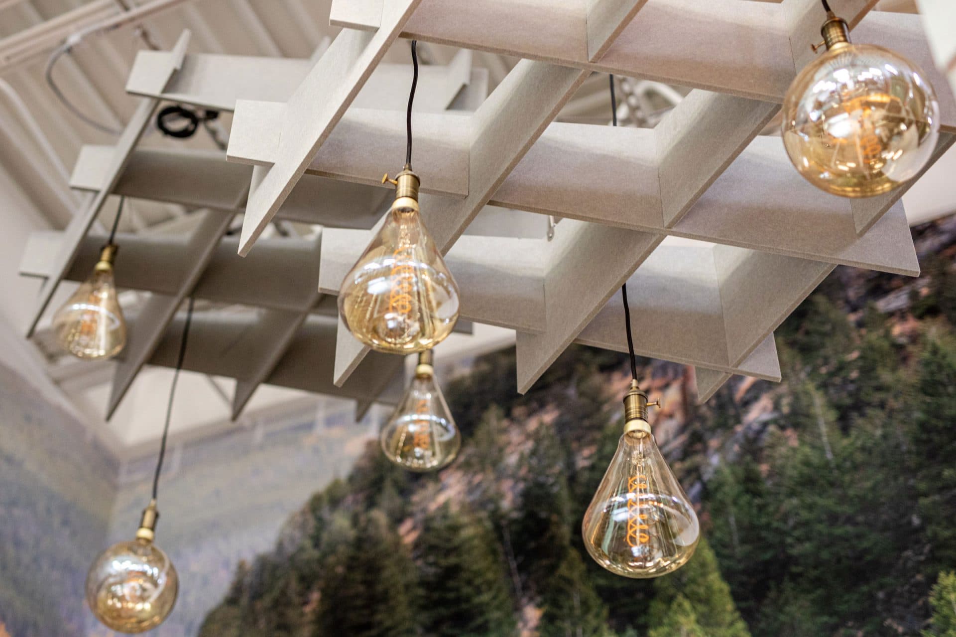 Hanging light bulbs with visible filaments are suspended from a white, geometric ceiling structure. Below, acoustic felt ceiling clouds enhance the sound quality. A forest mural featuring lush evergreen trees decorates the wall in the background, adding a natural ambiance to the space.