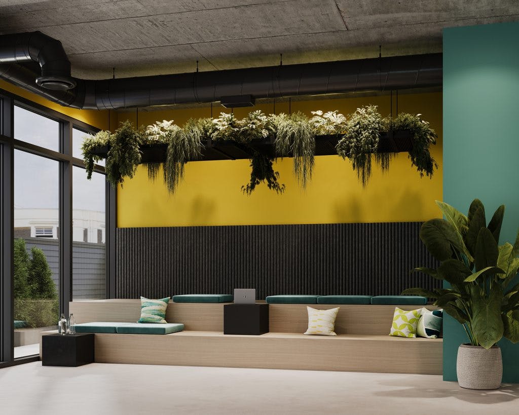 Modern indoor lounge with a mix of industrial and natural elements. There is a wooden bench with green cushions and colorful pillows, a large plant on the right, hanging plants from the ceiling, and a brightly painted yellow and slate acoustic felt wall. Large windows let in natural light.